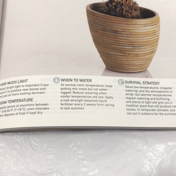 House plants book by Paul Williams - Picture 12 of 12